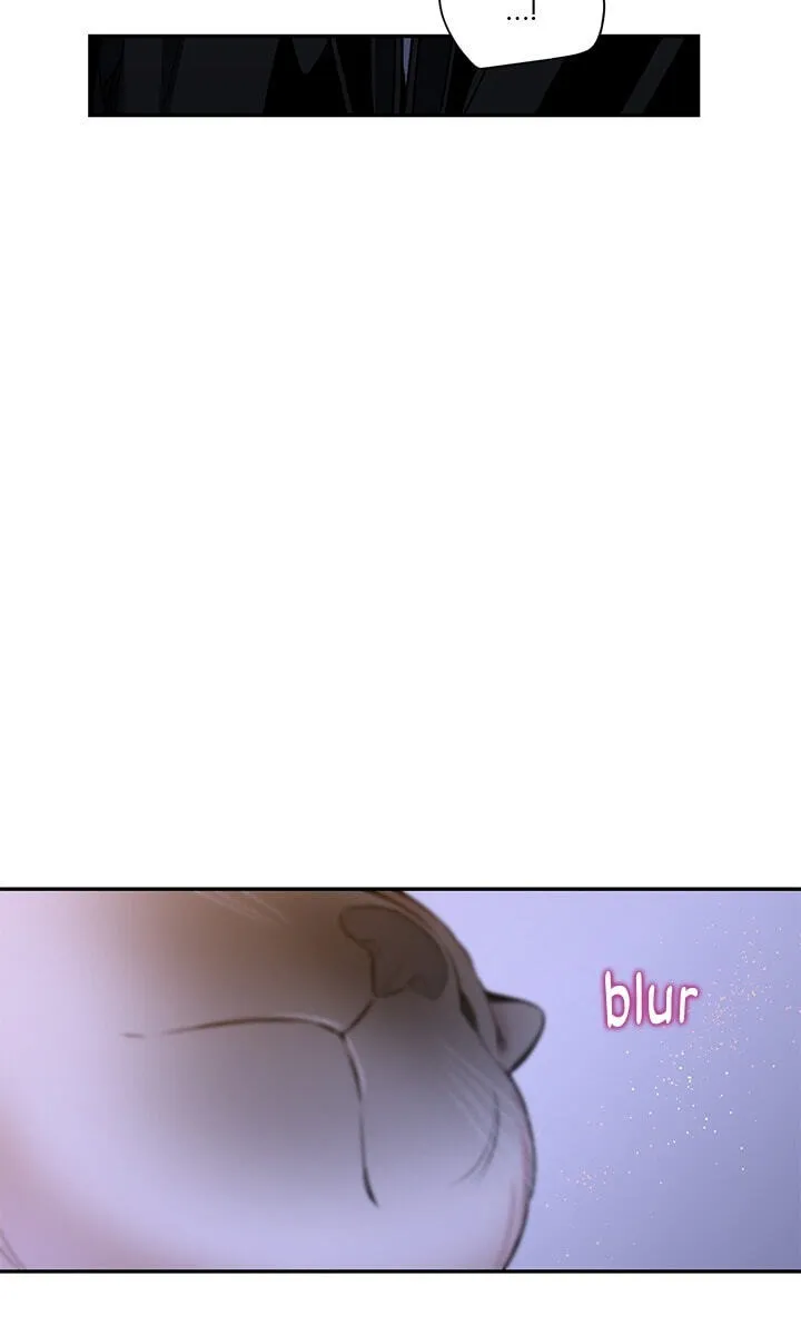 Cherry Blossoms After Winter chapter 176 page 41