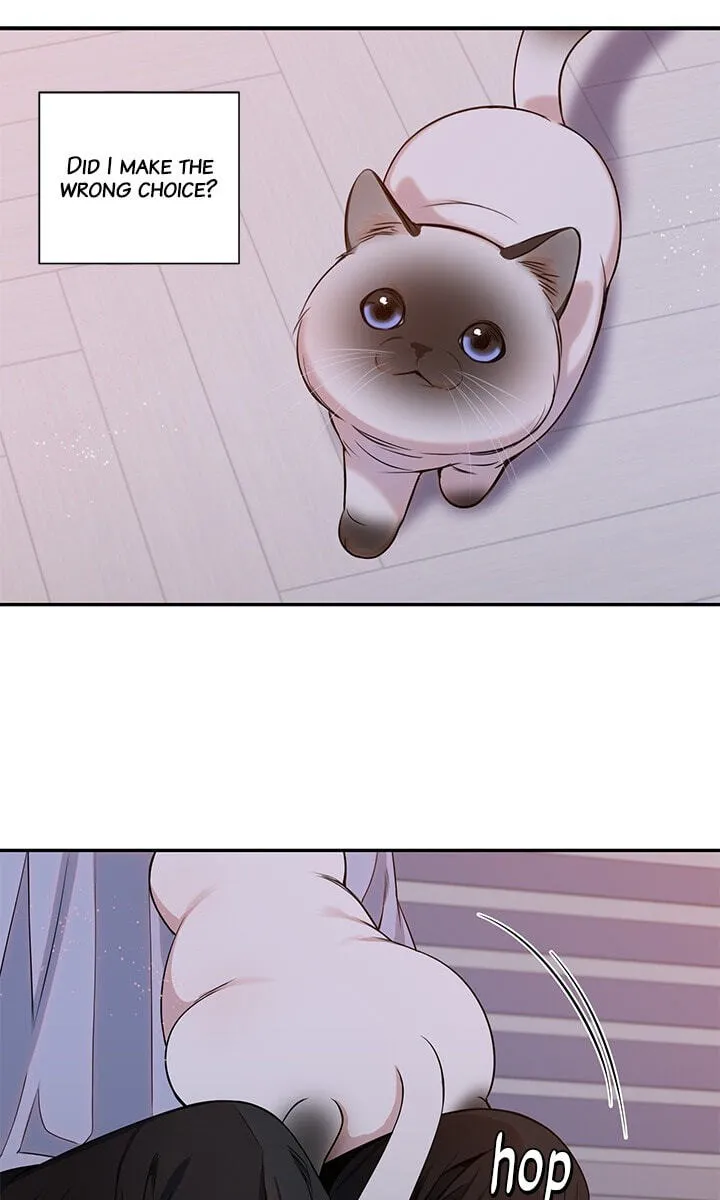 Cherry Blossoms After Winter chapter 178 page 60