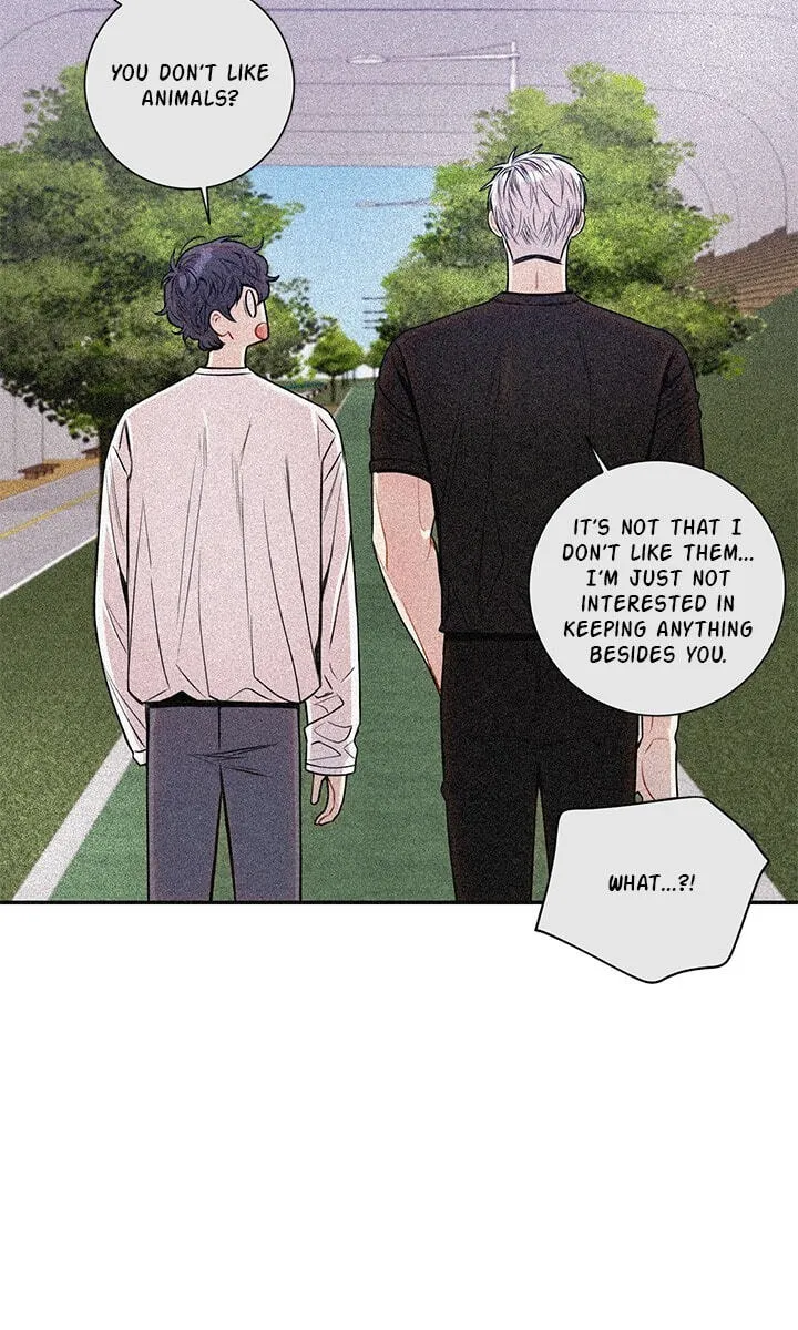 Cherry Blossoms After Winter chapter 179 page 51