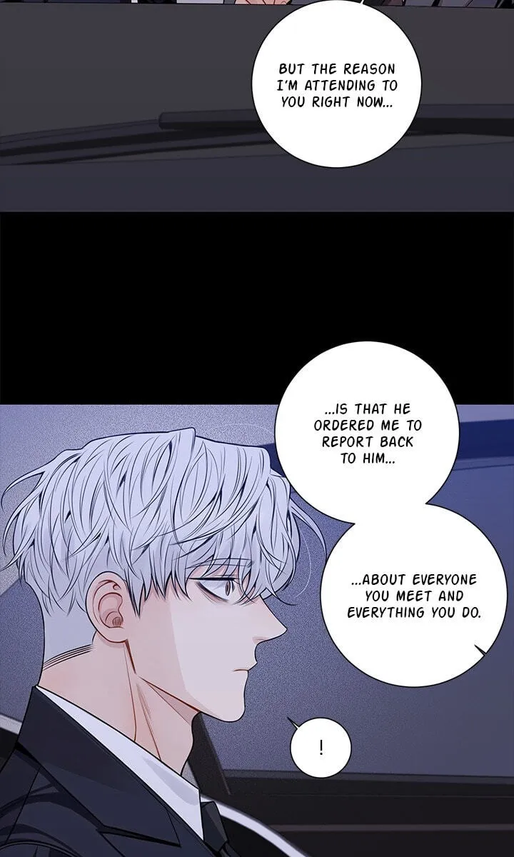Cherry Blossoms After Winter chapter 179 page 23