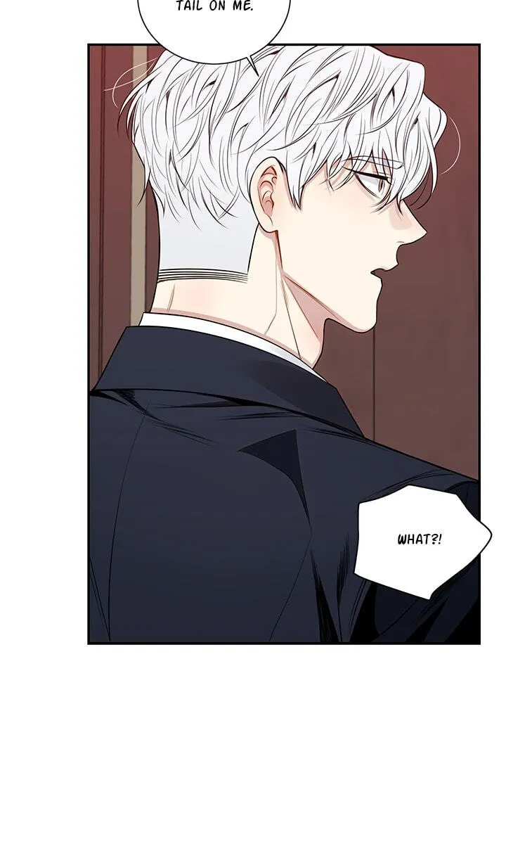 Cherry Blossoms After Winter chapter 179 page 21