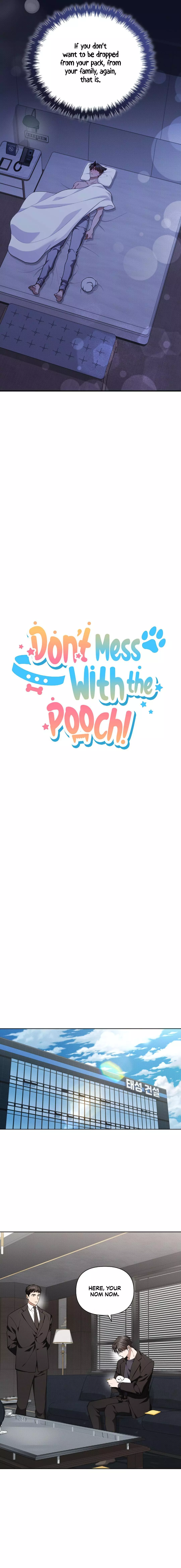 Don’t Mess With The Puppy! chapter 13 page 7