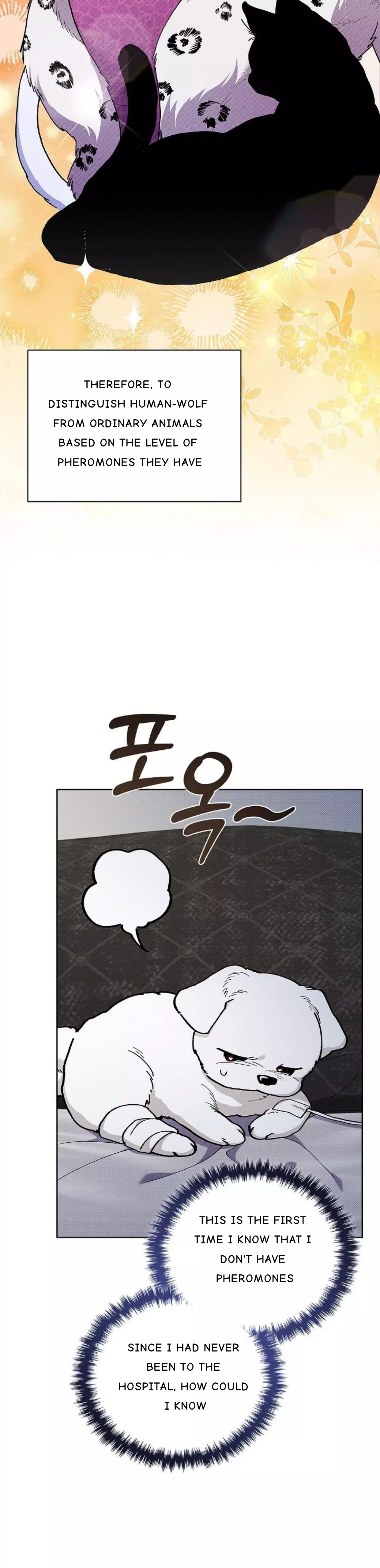 Don’t Mess With The Puppy! chapter 4 page 4
