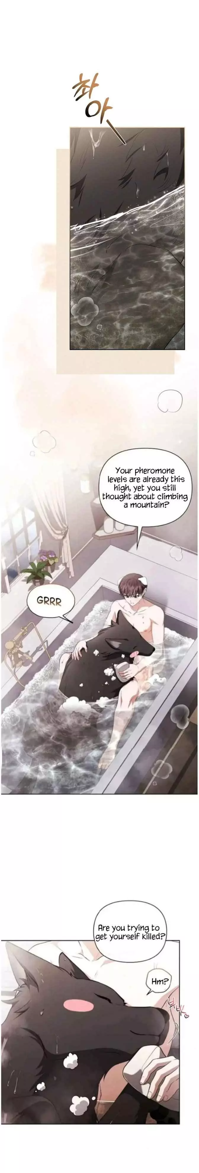 Don’t Mess With The Puppy! chapter 71 page 12