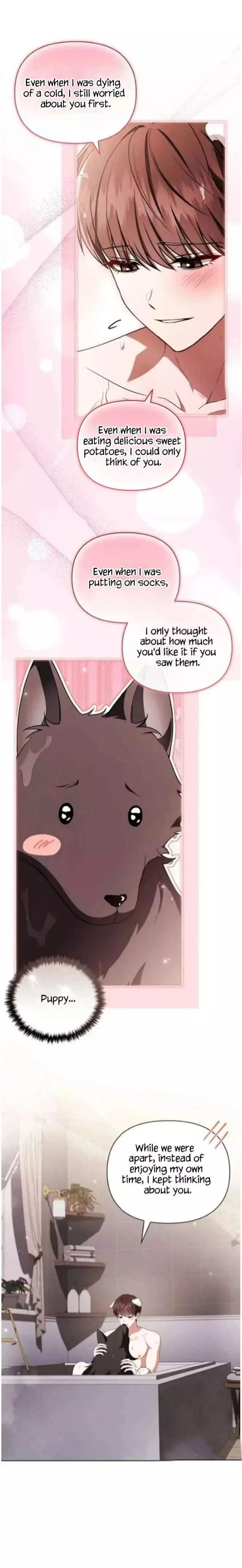 Don’t Mess With The Puppy! chapter 71 page 17