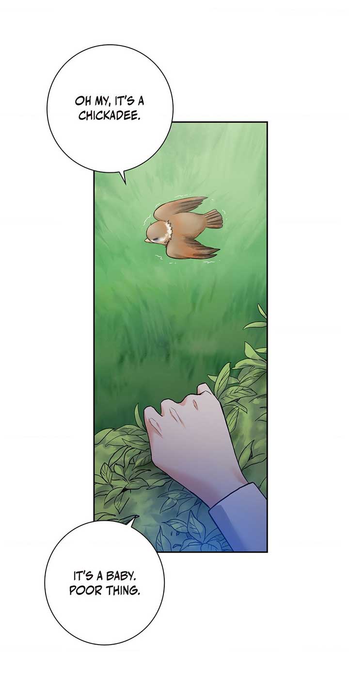 Don’t Look For Me chapter 2 page 50