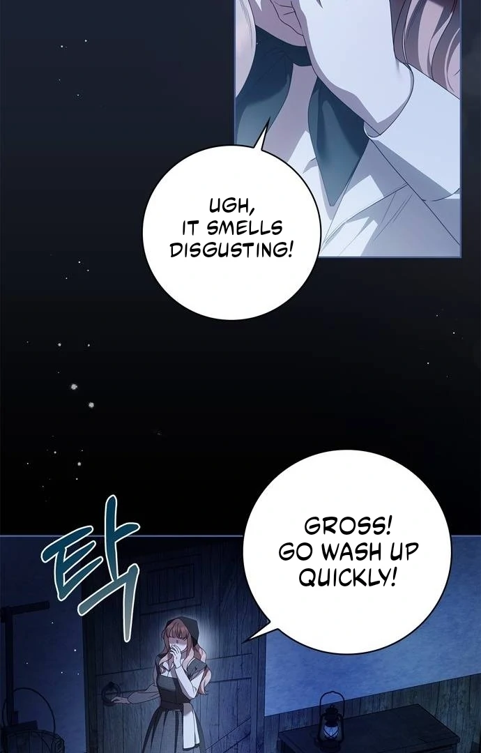 The Count’s Secret Maid chapter 50 page 25