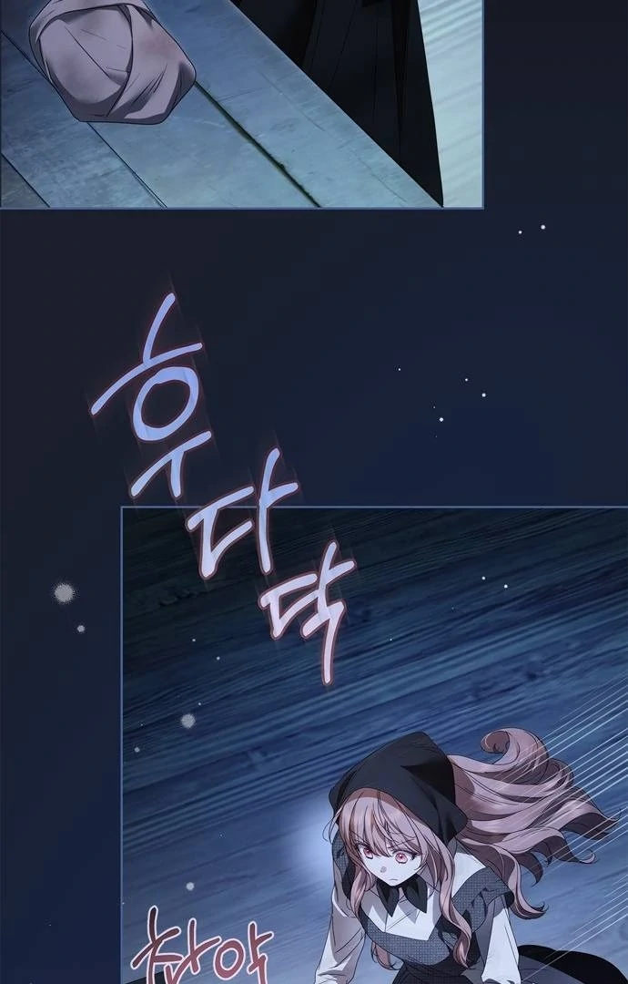 The Count’s Secret Maid chapter 50 page 28