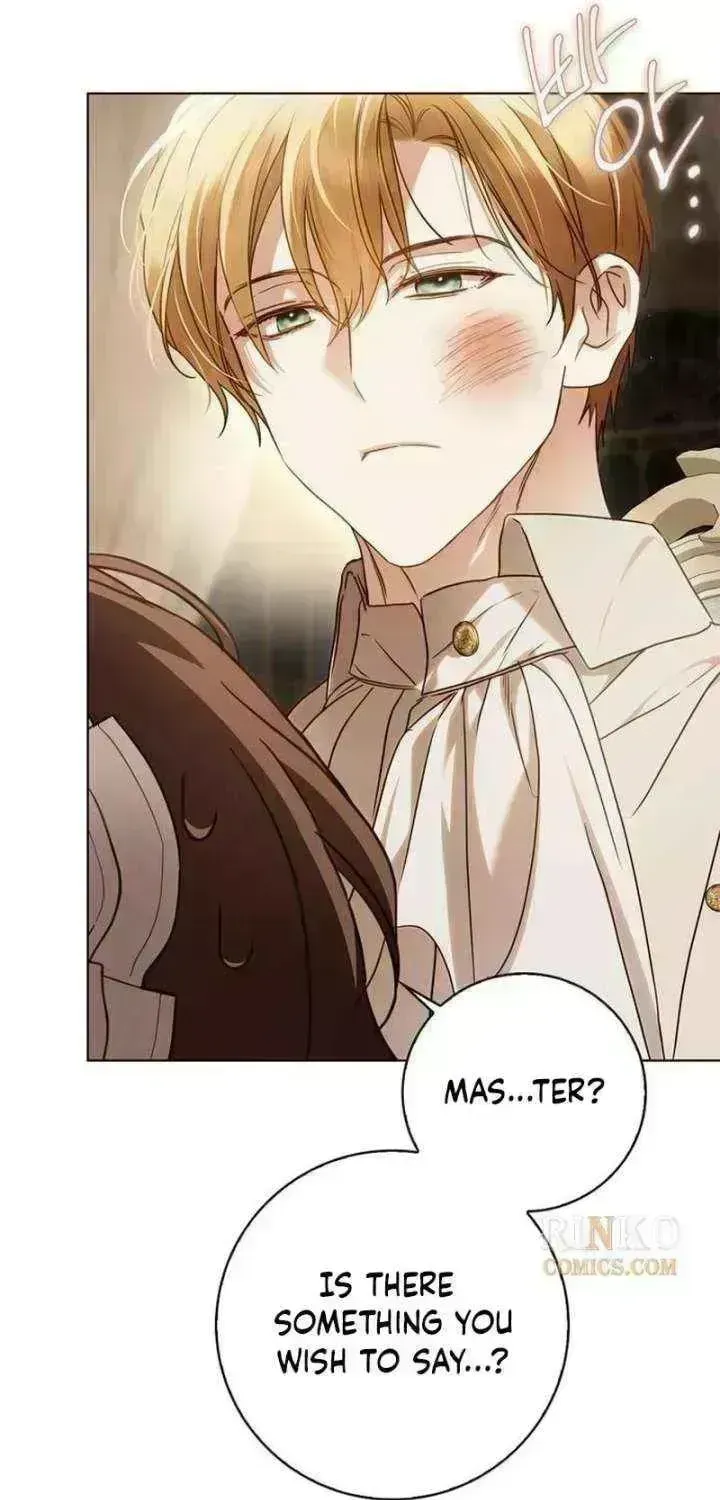 The Count’s Secret Maid chapter 94.5 page 86
