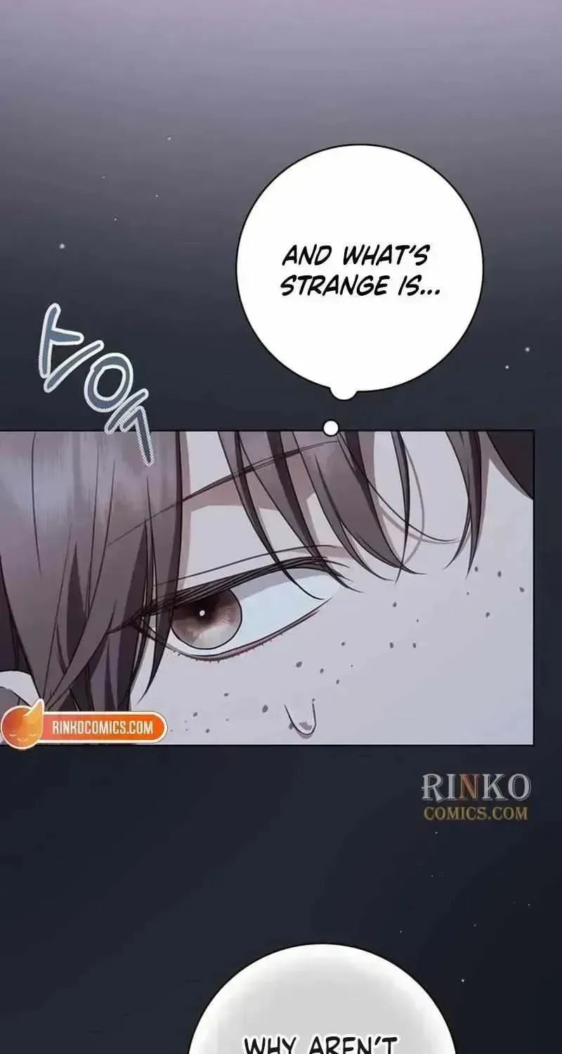 The Count’s Secret Maid chapter 94.6 page 38