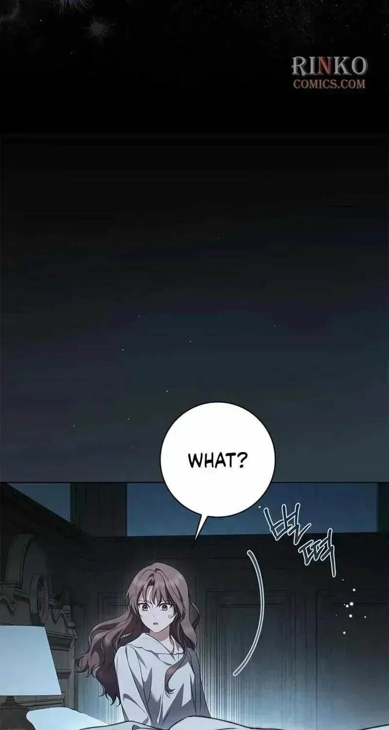 The Count’s Secret Maid chapter 94.6 page 42