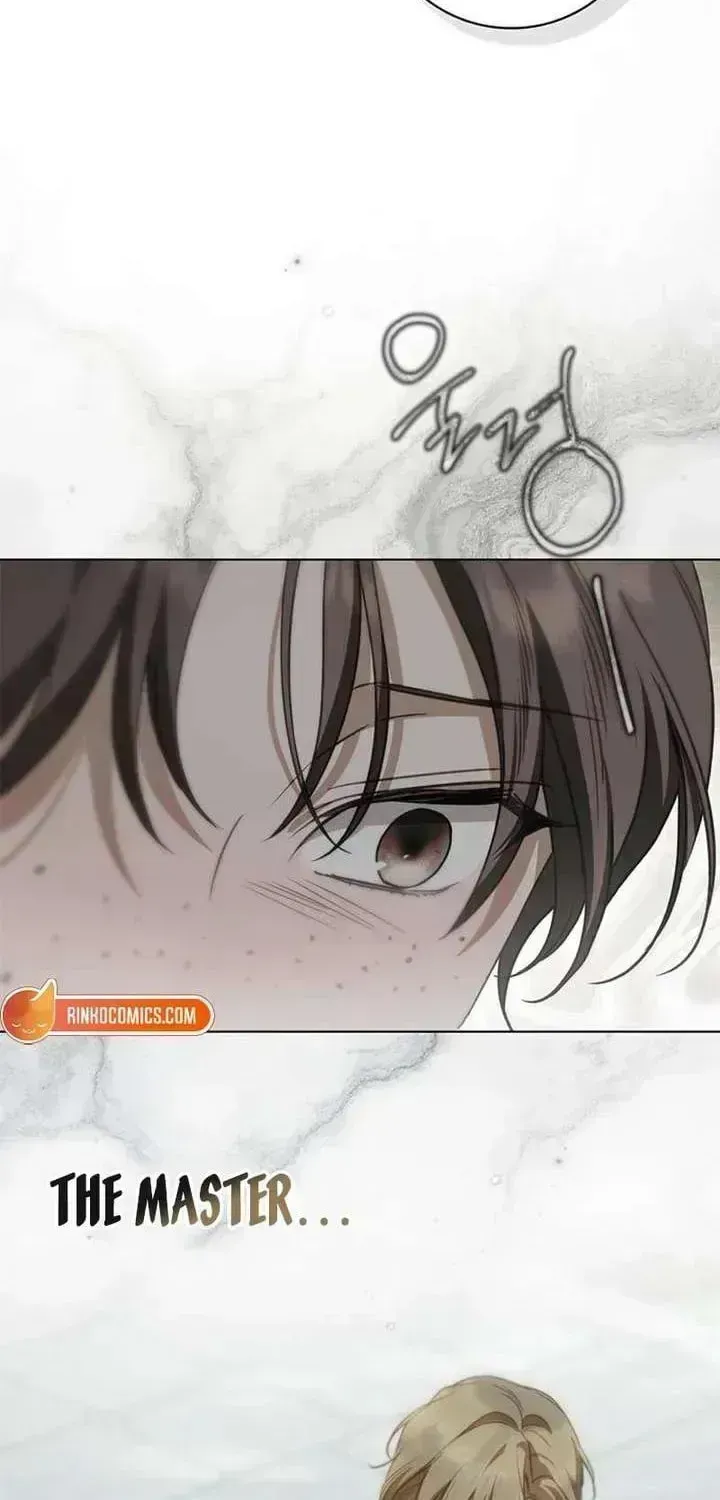 The Count’s Secret Maid chapter 94.7 page 69