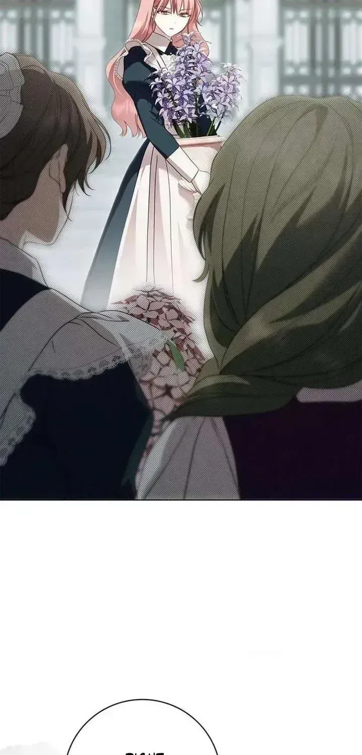 The Count’s Secret Maid chapter 95.5 page 72