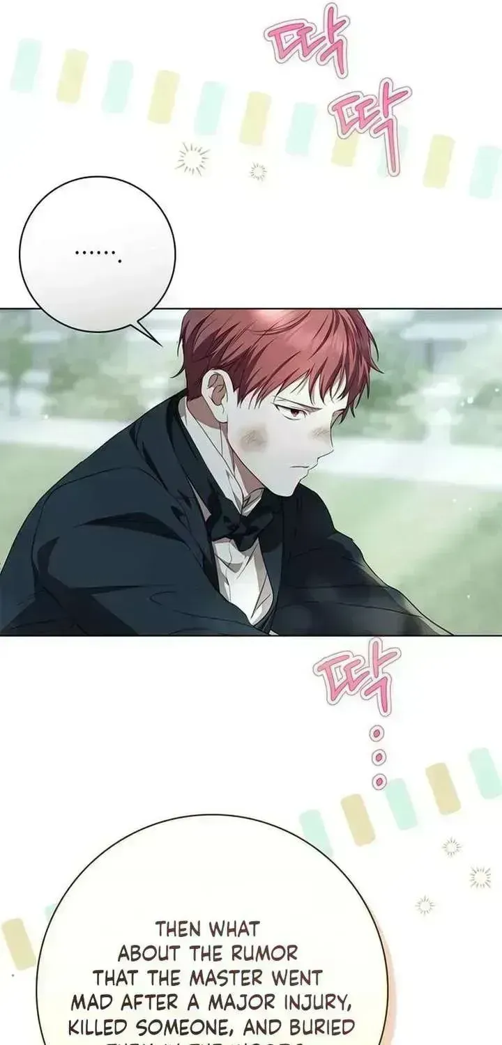 The Count’s Secret Maid chapter 95.5 page 11