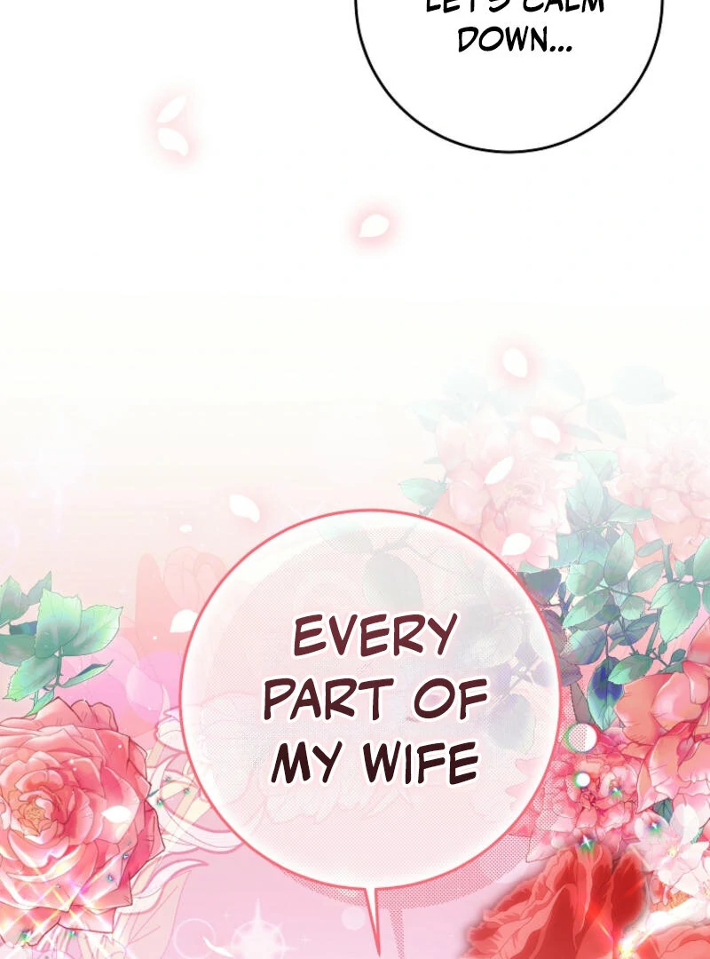 How to Extend a Marriage Contract chapter 19 page 67
