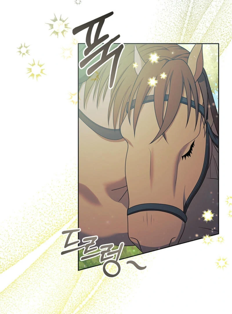 How to Extend a Marriage Contract chapter 8 page 33