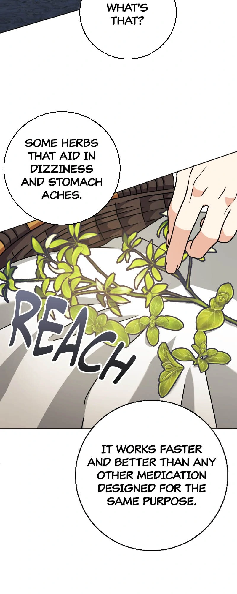 There’s a Witch in the Emperor’s Bedroom chapter 25 page 41