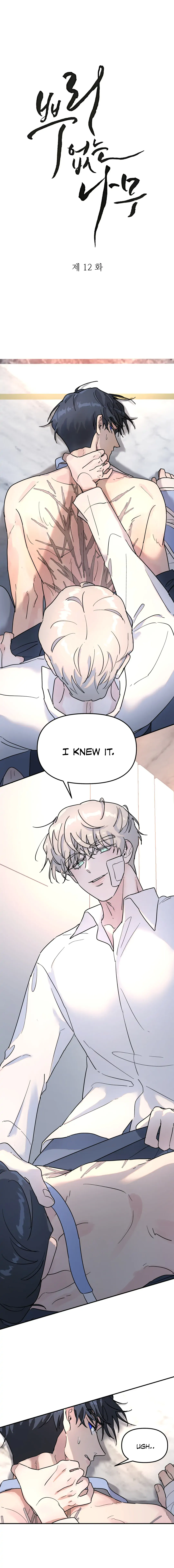 A Tree Without Roots chapter 12 page 2