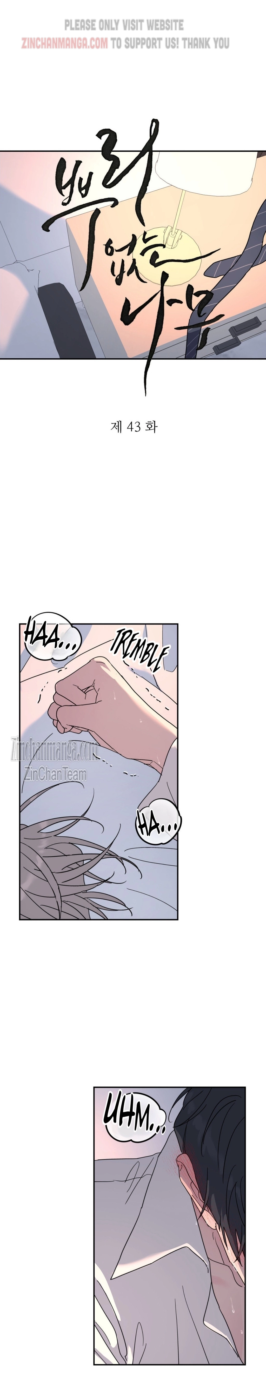 A Tree Without Roots chapter 43 page 2