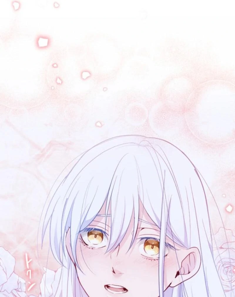 The Reason why Princess White Rose Wears Thorns chapter 25 page 91