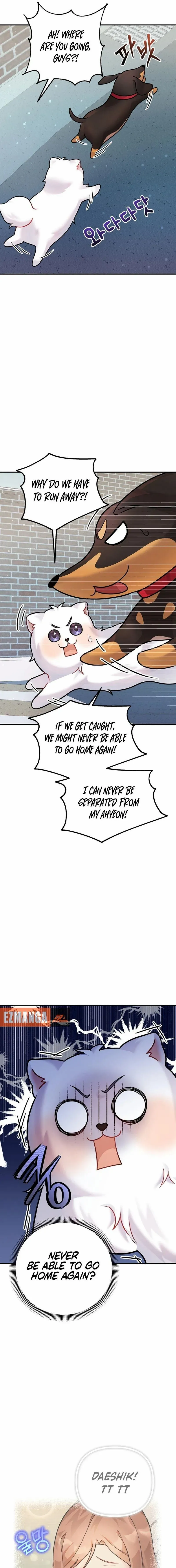My masculine Puppy chapter 12 page 17