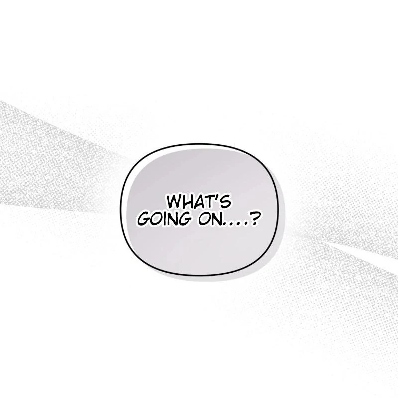 I’m a Solo Guide chapter 26 page 117