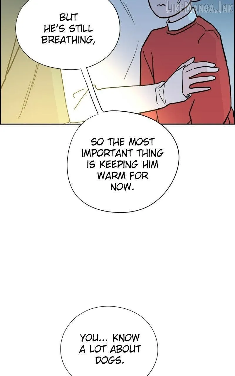 Love Letter chapter 64 page 59