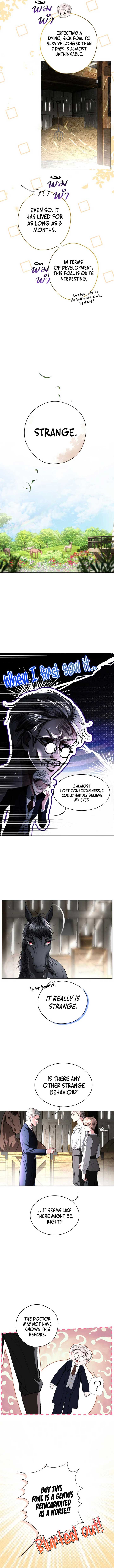 The Tyrant’s Loyal Warhorse chapter 5 page 3