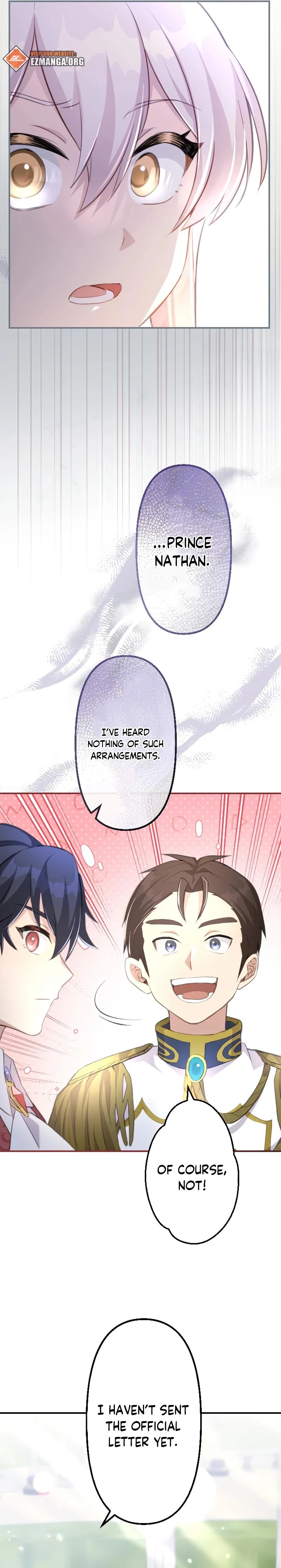 The Young Villainess Sees Through It All chapter 27 page 11