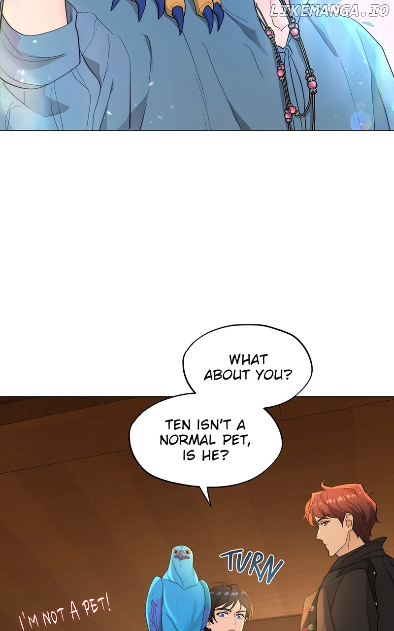 Seabird and the Wolf chapter 11 page 41