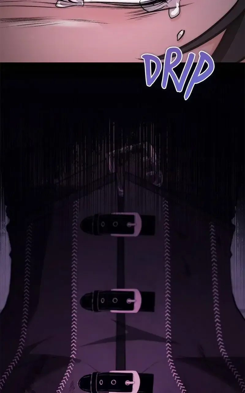Seabird and the Wolf chapter 83 page 94