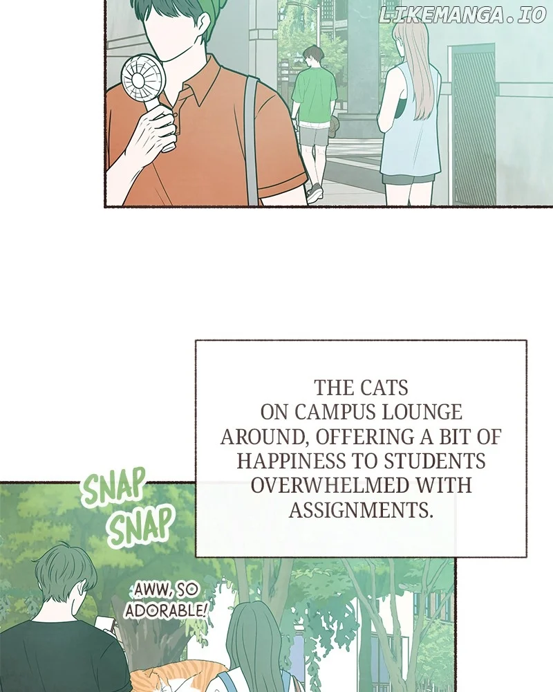 Emotional Transference chapter 25 page 43