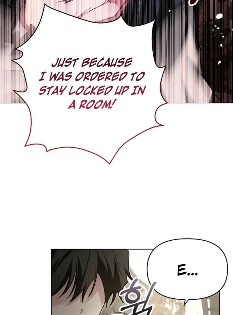 The Villainess’s Wise Retirement Plan chapter 42 page 106