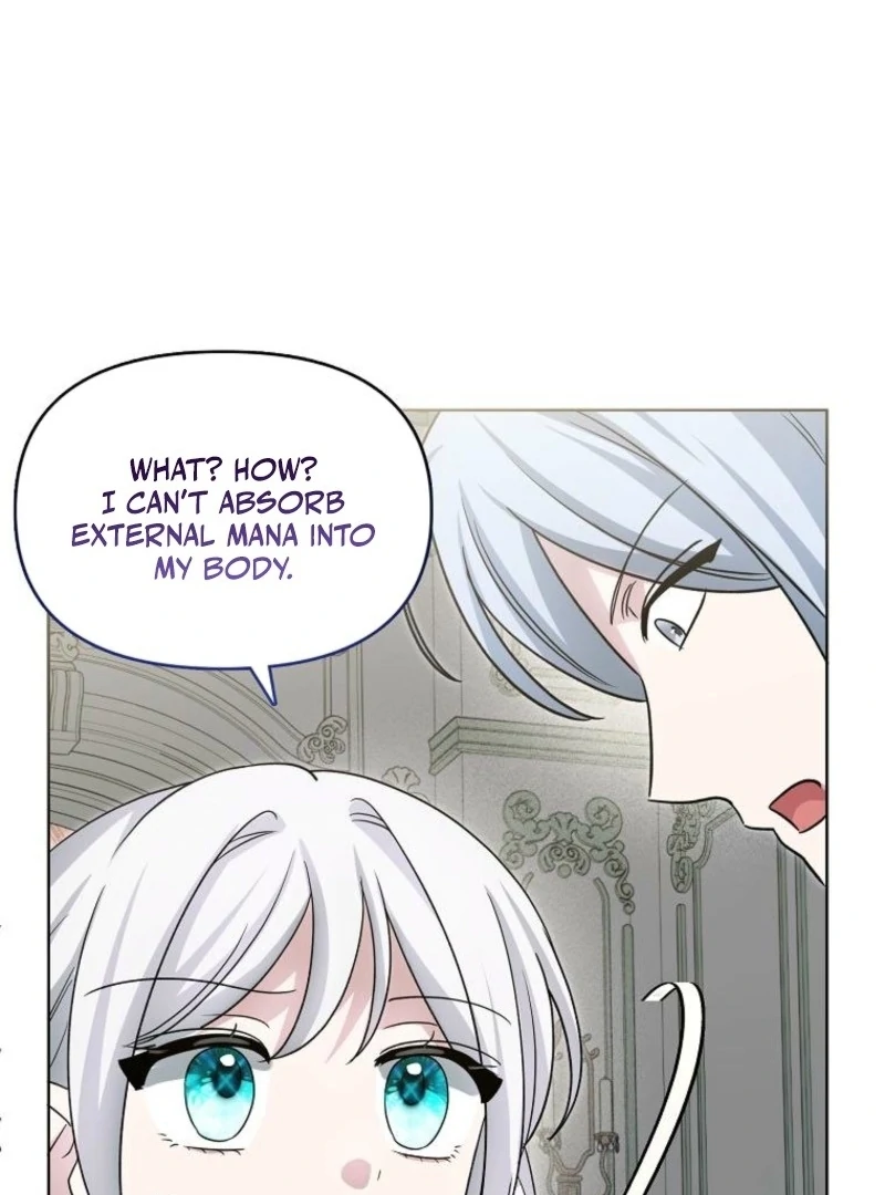 The Villainess’s Wise Retirement Plan chapter 48 page 45