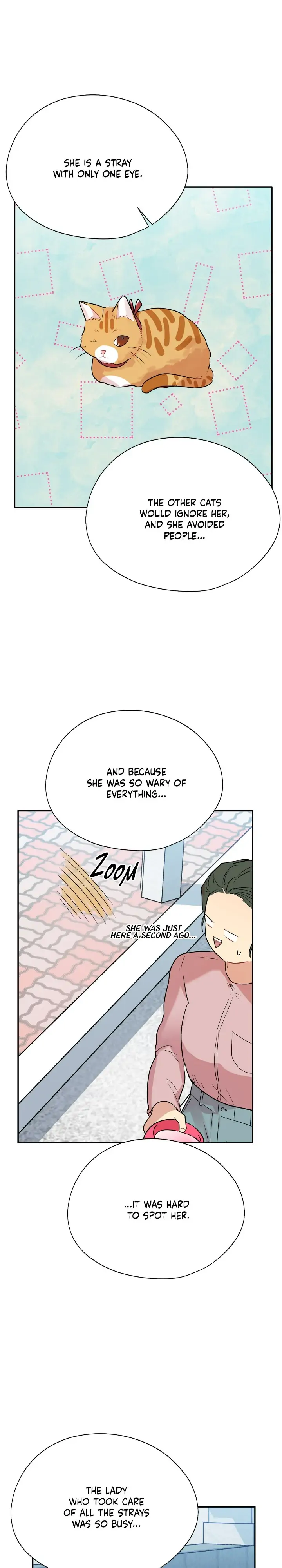 Could the Boy Next Door be a Vampire? chapter 54 page 11