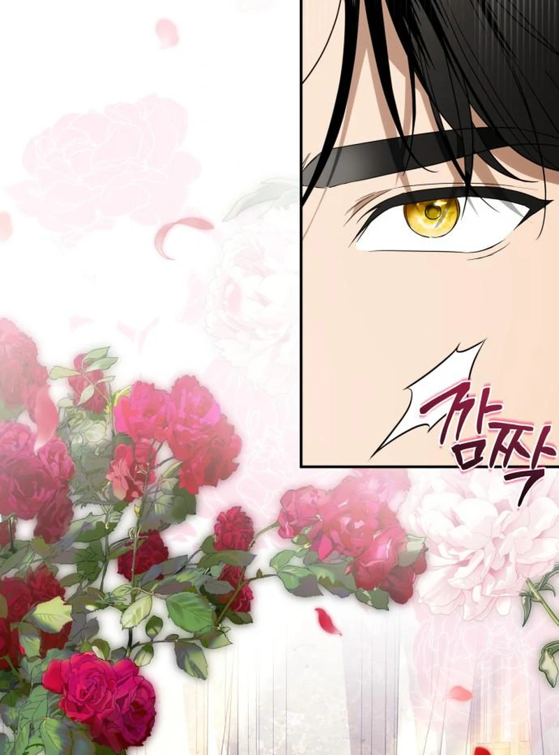 Duchess in Ruins chapter 44 page 67