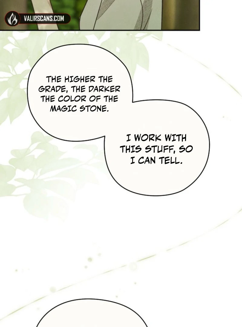 S-Class Spirit Master’s Taming Diary chapter 48 page 19