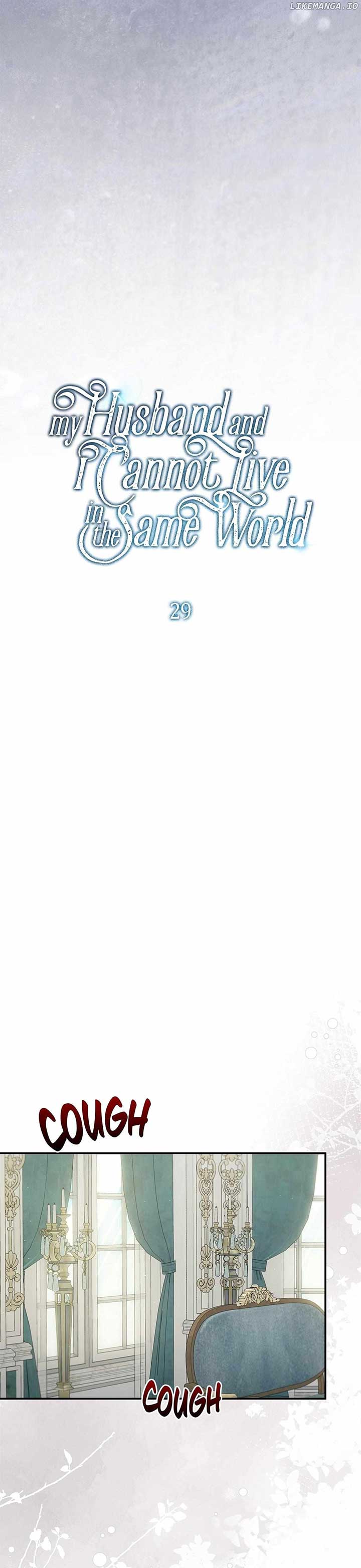 My Husband and I Cannot Live in the Same World chapter 29 page 5