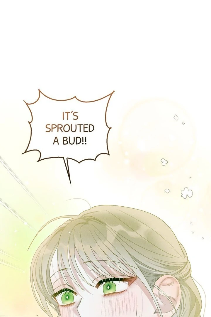 Sorang’s Flower Art Shop chapter 15 page 7