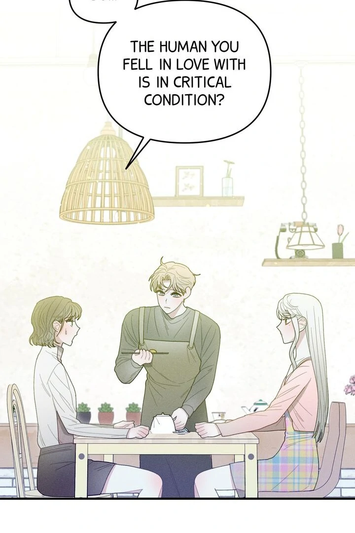 Sorang’s Flower Art Shop chapter 24 page 13