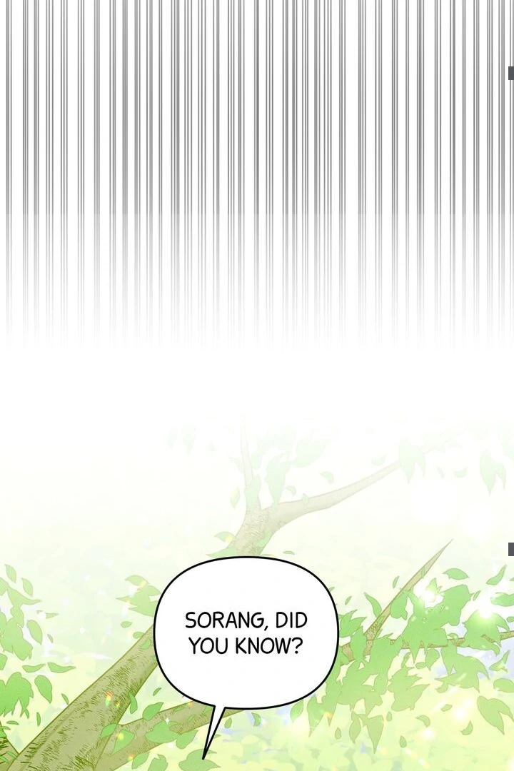 Sorang’s Flower Art Shop chapter 24 page 47