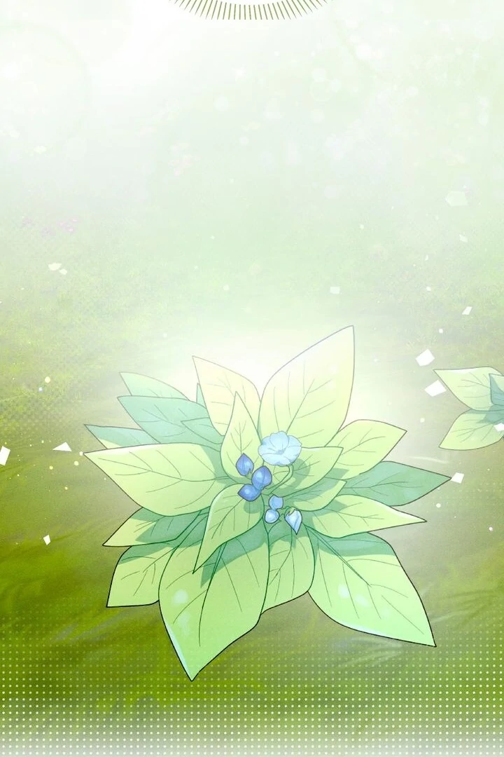Sorang’s Flower Art Shop chapter 25 page 85