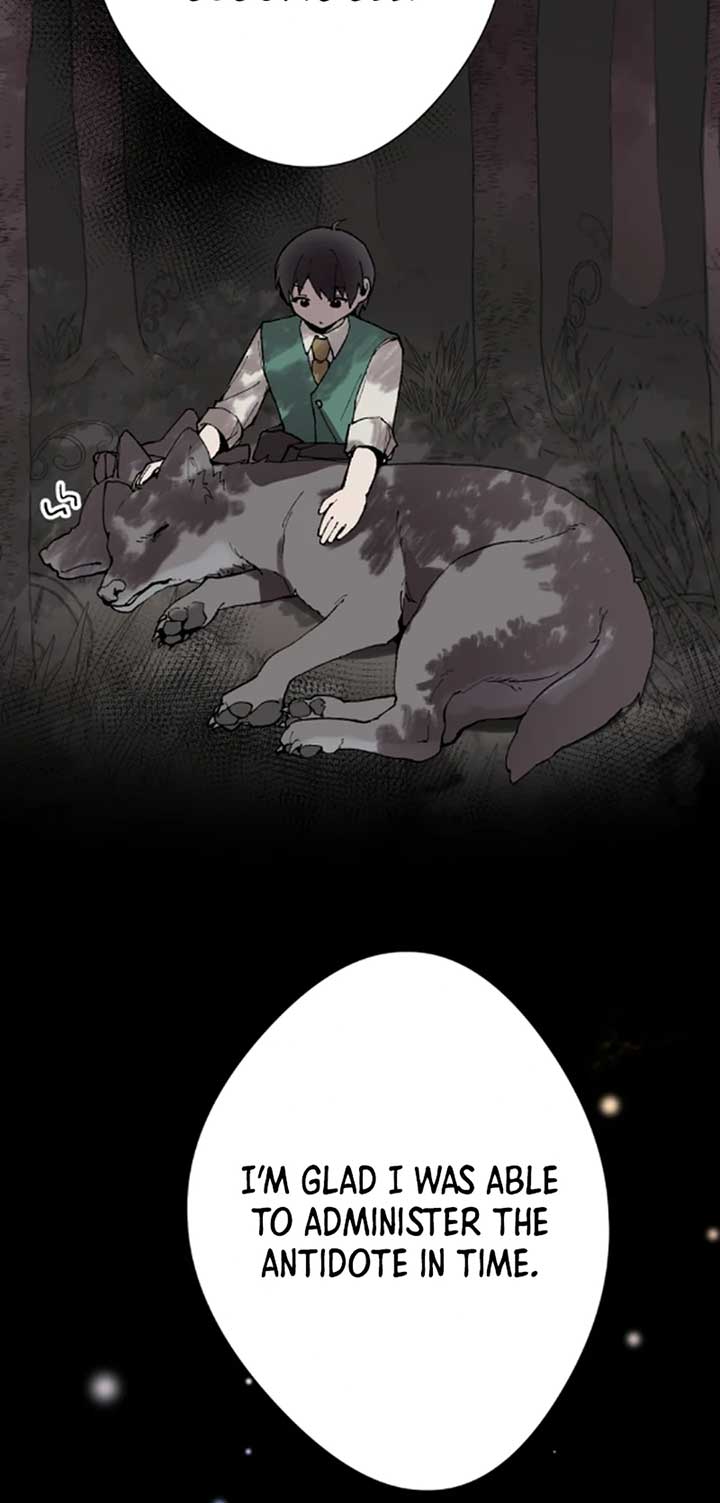 Let’s raise a witch who will destroy the world chapter 13 page 49