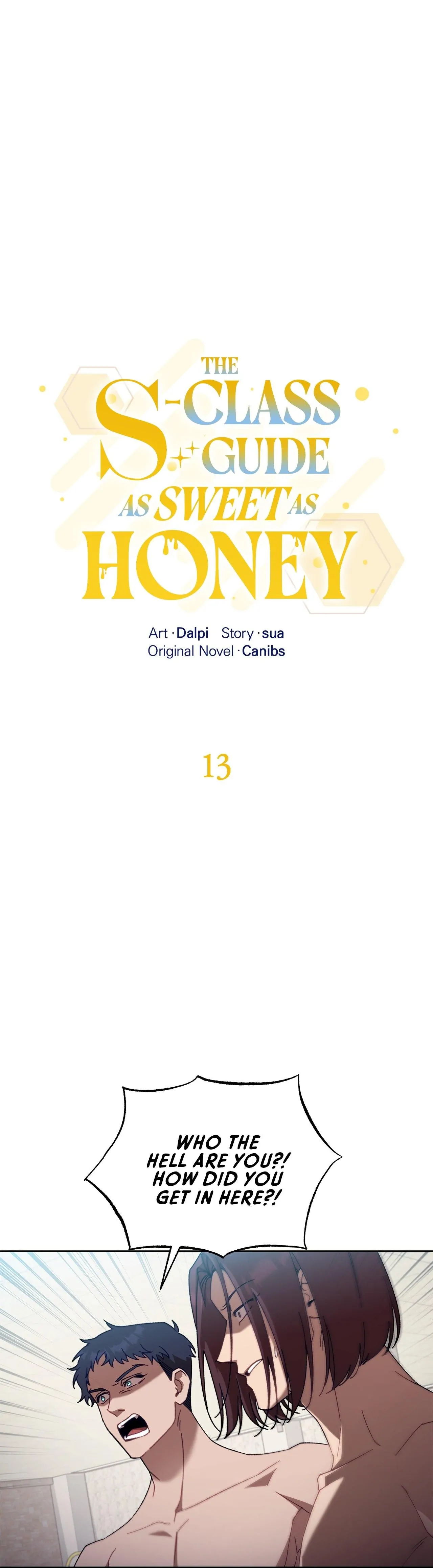 The S-Class Guide As Sweet As Honey [Official] chapter 13 page 14