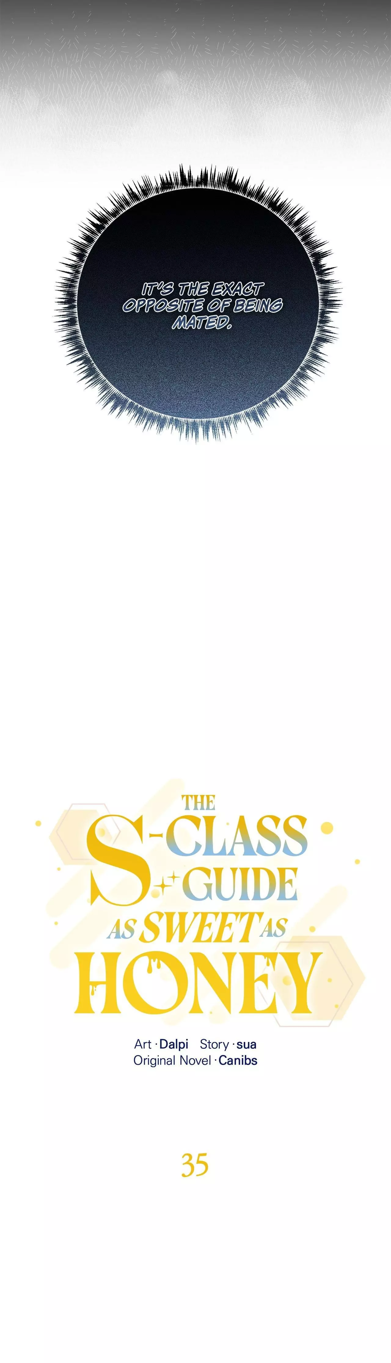 The S-Class Guide As Sweet As Honey [Official] chapter 35 page 3