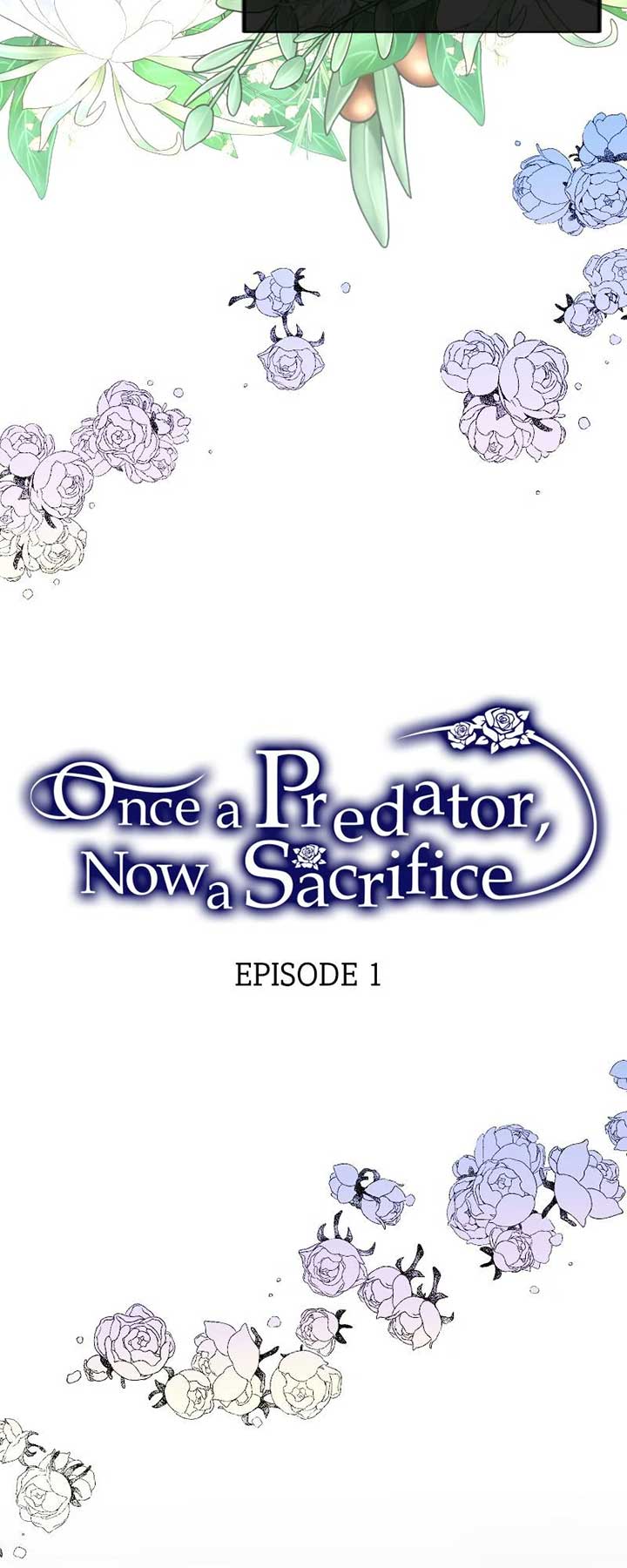 Once a Predator, Now a Sacrifice [Official] chapter 1 page 28