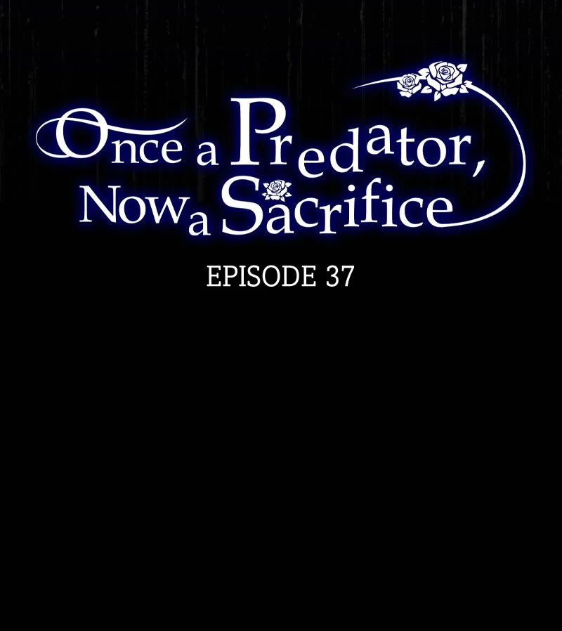 Once a Predator, Now a Sacrifice [Official] chapter 37 page 4