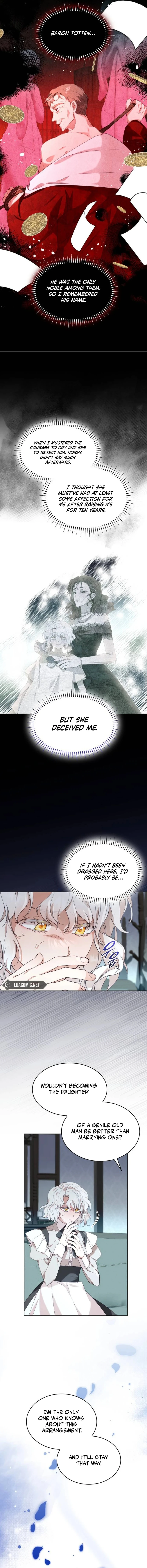 The Day The Real One Appeared chapter 1 page 15