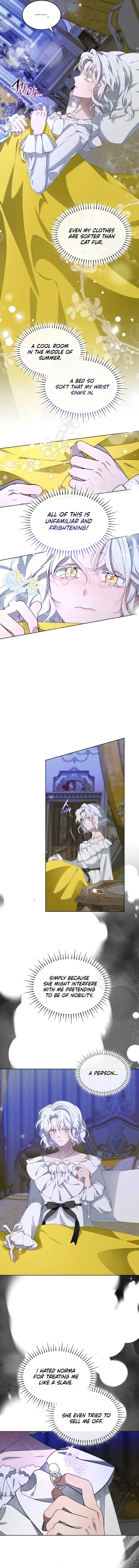 The Day The Real One Appeared chapter 2 page 7