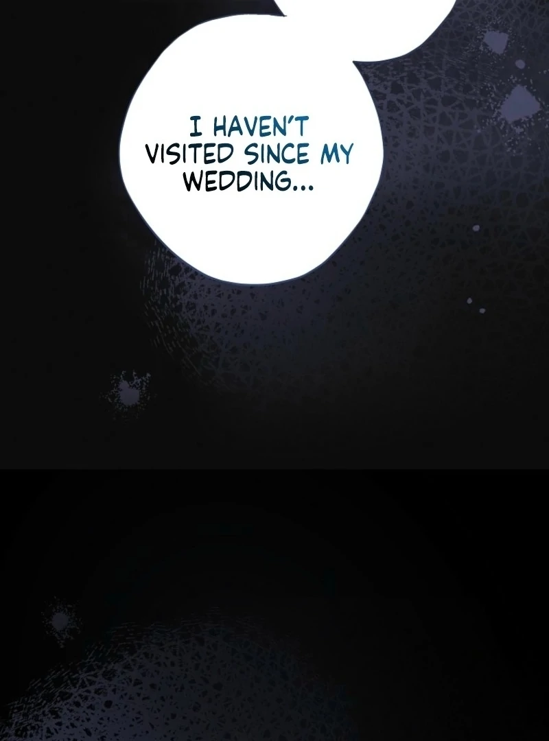 The Princess Reincarnation chapter 41 page 30